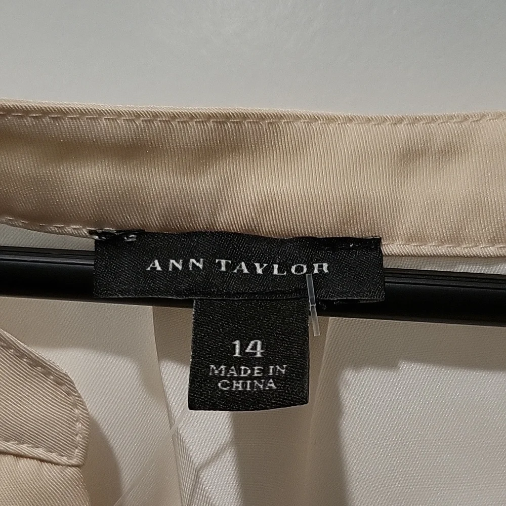 Ann Taylor Cream and Tan Dress - Picture 2 of 4